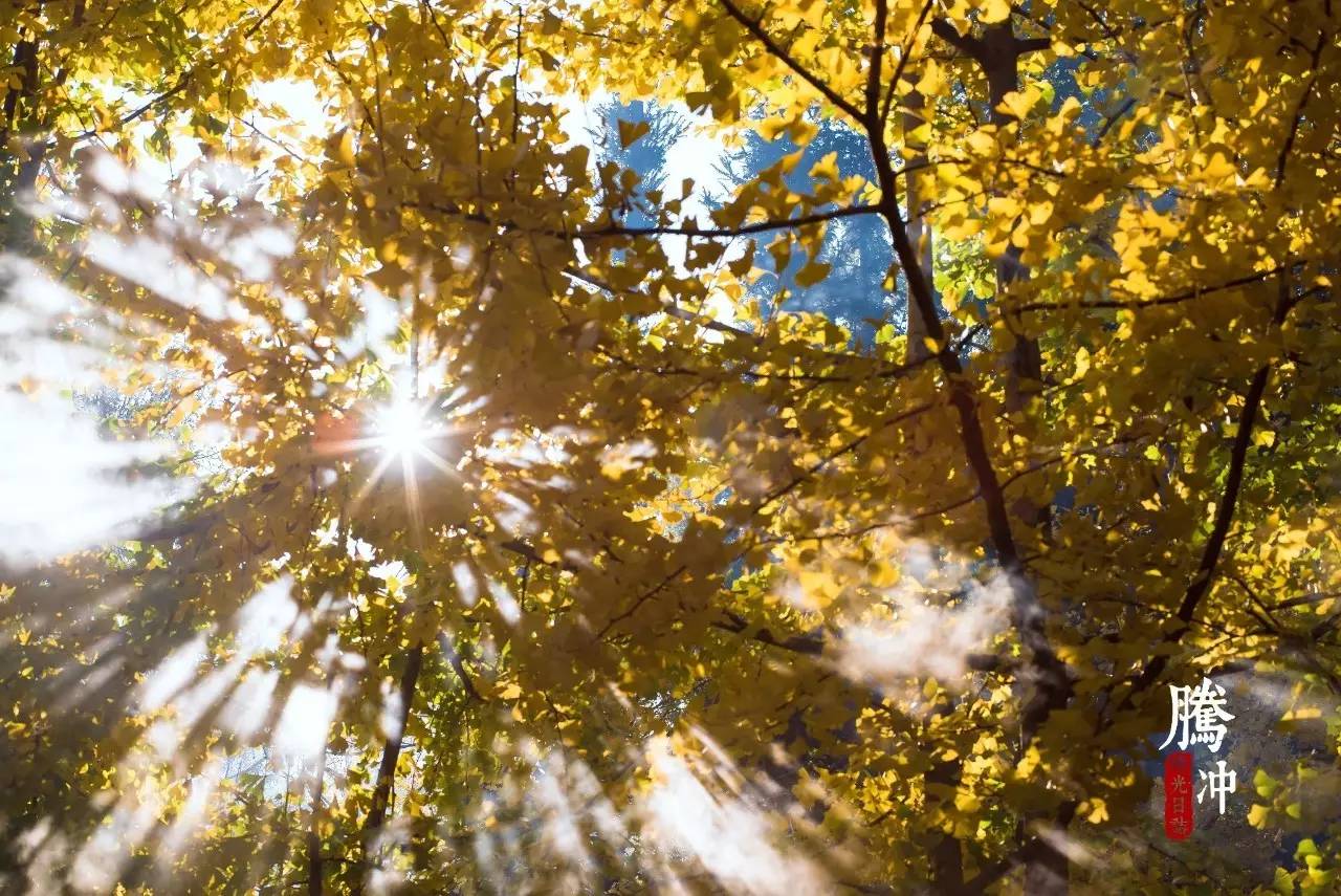 中国秋天最美的十个地方,秋天最美的旅游地点