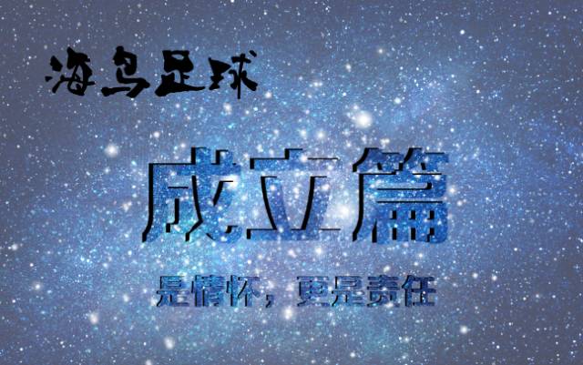 绿茵场和足球场,绿茵联手计划足球赛