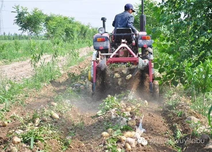 建设现代农业园区铺就全面小康坦途——武邑县建设现代农业示范园区打造现代农业发展高地