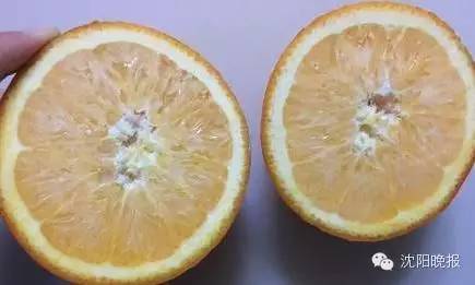 乌龟还能救过来吗,奄奄一息的小乌龟还有救吗