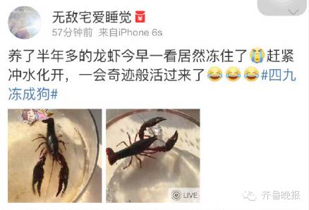 乌龟还能救过来吗,奄奄一息的小乌龟还有救吗