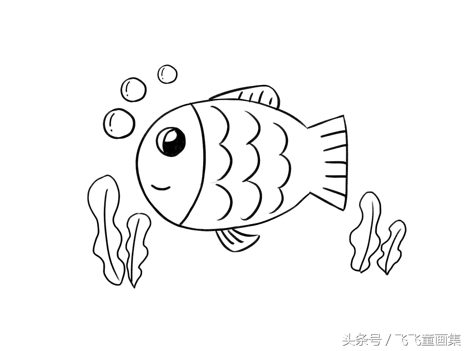 画小鱼小虾简笔画,小鱼的简笔画怎么画