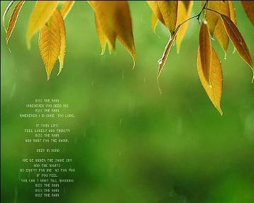 电影英雄背景音乐纯音乐,著名电影中的纯音乐