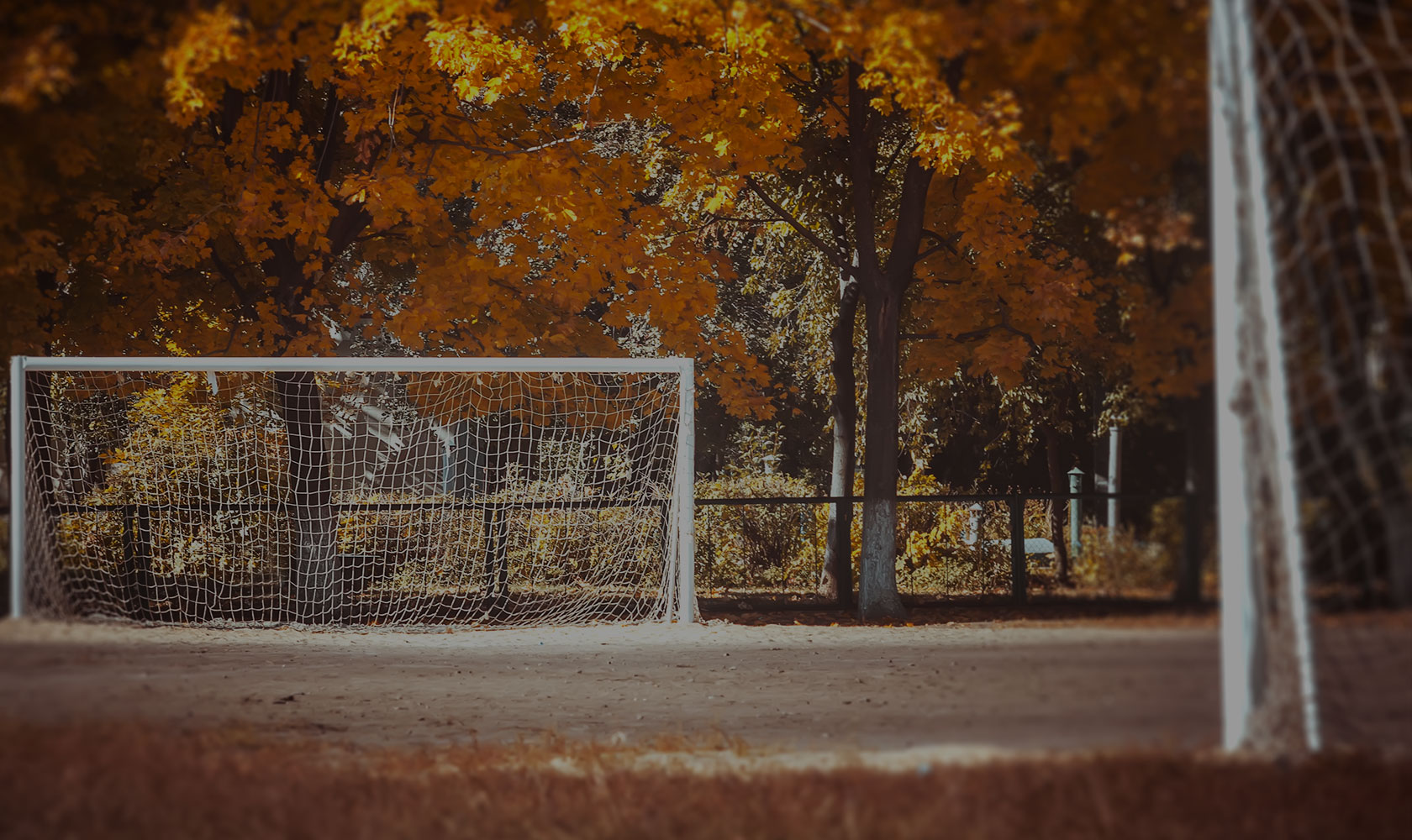 足球狗怎么样,足球狗后卫怎么踢好