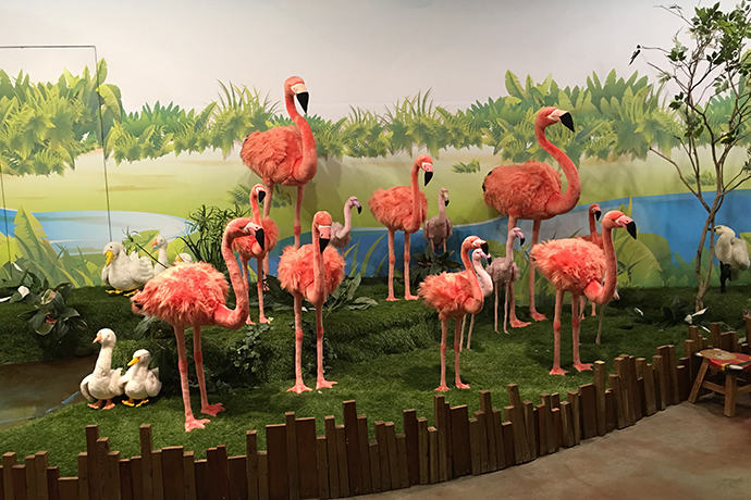 泰迪熊博物馆韩国购物,泰迪熊博物馆韩国图