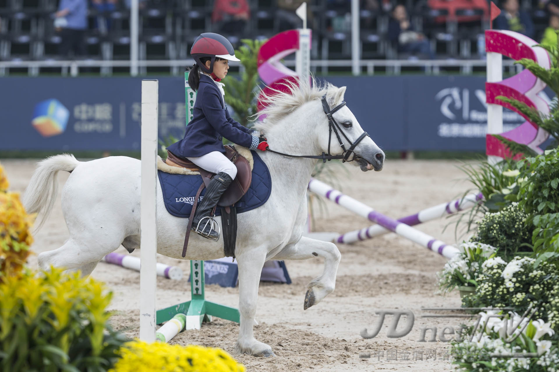 浪琴马术世界杯,浪琴马术赛程