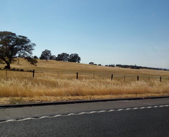 美国优胜国家森林公园,美国优胜美地国家森林公园风光