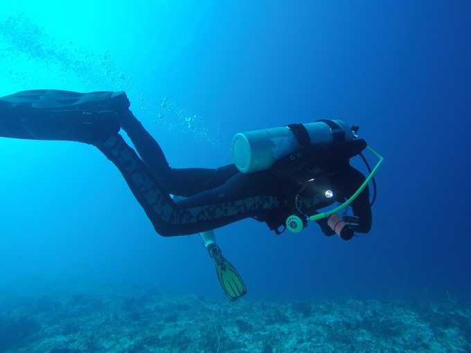 菲律宾潜水游记 (回忆菲律宾潜水的时光)