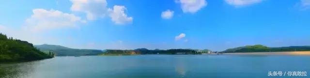 山东临沂平邑县的柿子怎么样,临沂哪里可以采摘新鲜铁皮柿子