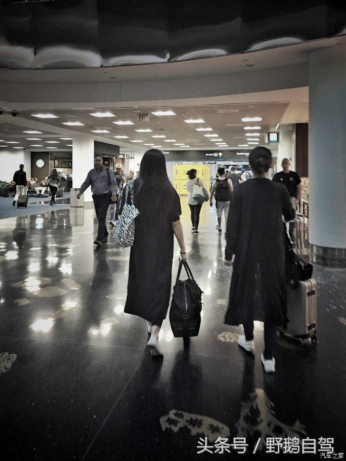 野鹅旅行,野鹅自驾无人区