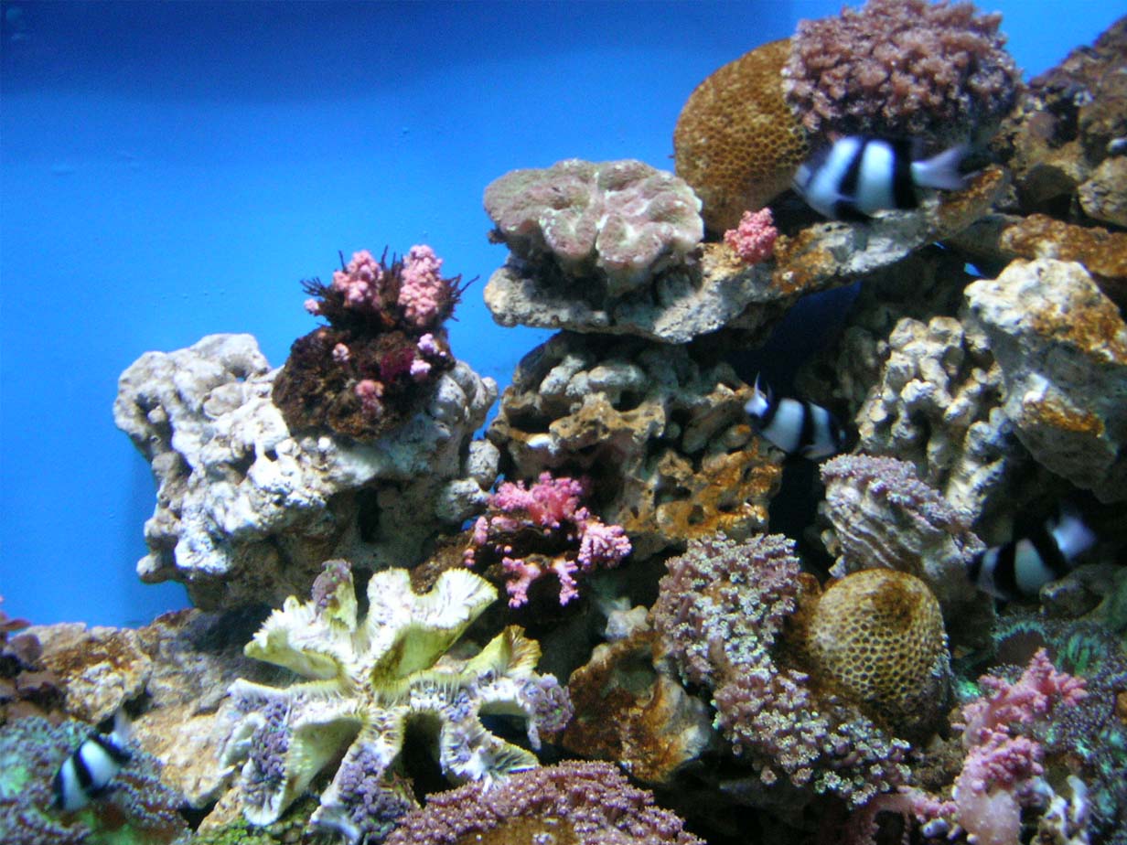 十一小长假,哈尔滨极地馆也是一个很不错的选择