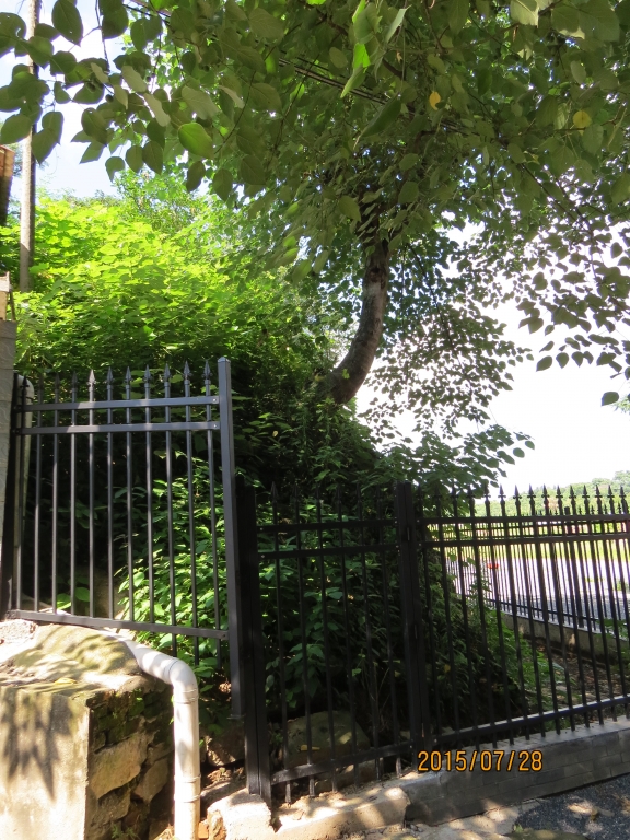 零陵文化古城寻找千年古迹,零陵古城简介