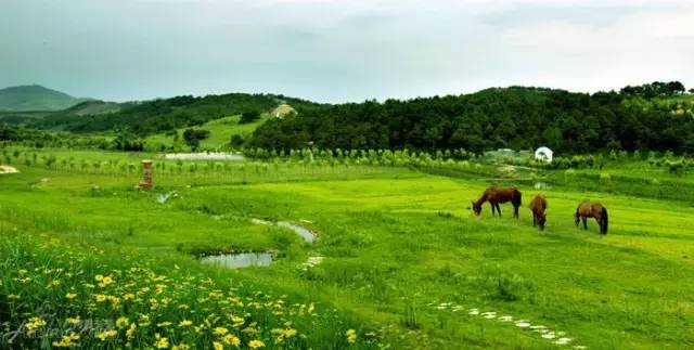 武汉十大漂亮女神,武汉最漂亮的十个女人