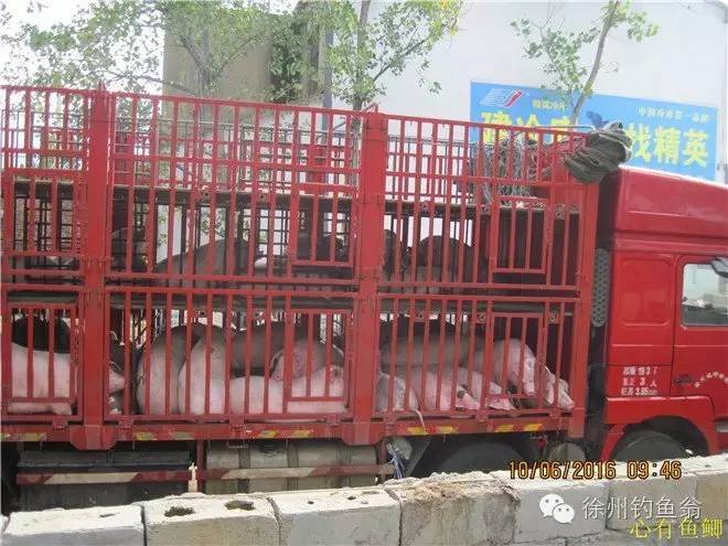 徐州铜山区野钓最新地点,小记野河钓鱼