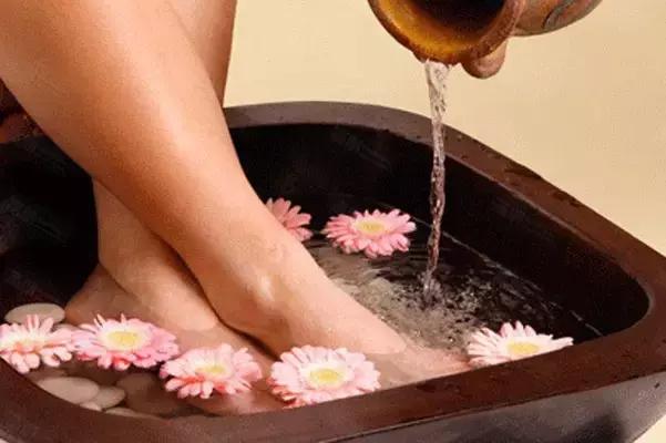 寒露时节美食养生,寒露时节经络养生应以调养为主