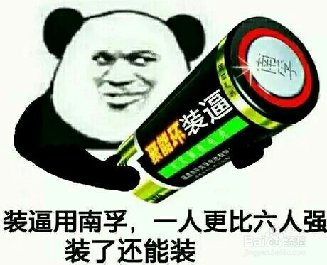 养一只荷兰猪需要花多少钱,养一只荷兰猪需要准备些什么