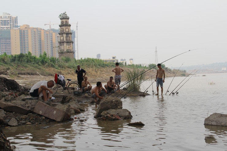 看看江边垂钓忙，钓鱼人渔获不小哟