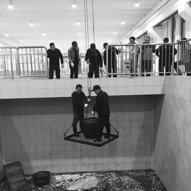 摄制组动态|卢火神附子炮制老官山墓