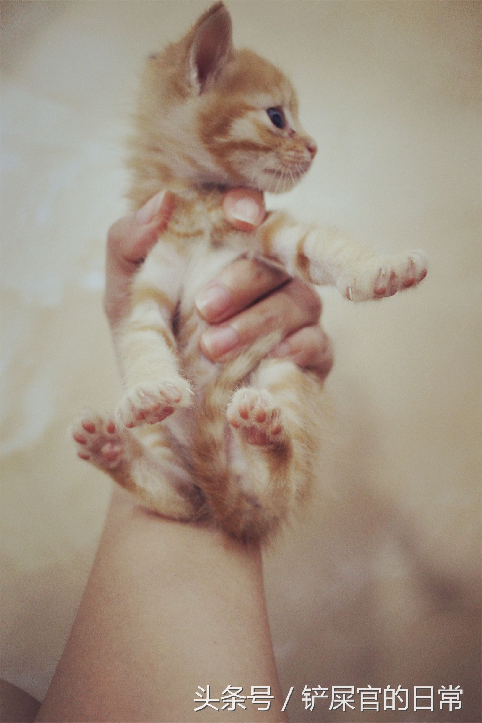 婊℃湀鐚挭鍊煎緱楂樺叴鐨勪簨,钀岀尗鍜垰婊℃湀