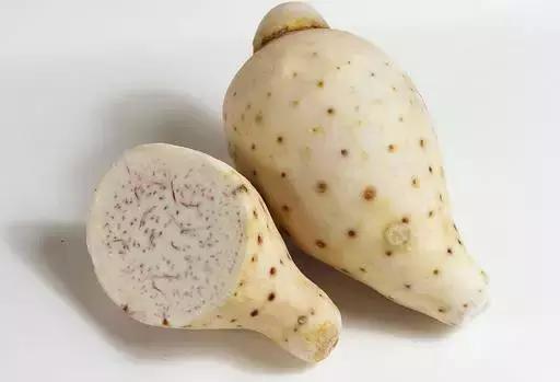 24种健康养生的食物,十种营养养生食物身体保健必备