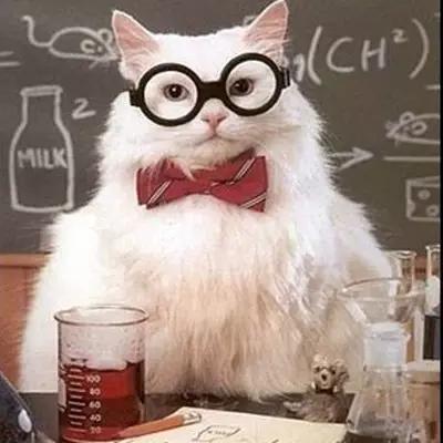 瞬间笑喷的爆囧奇葩，男人这种生物到底有没有情商啊！