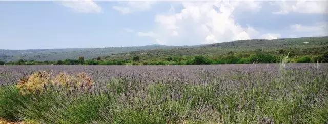 4000元穷游20座城市,4000元穷游