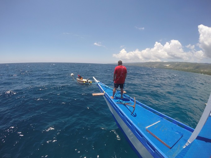菲律宾潜水游记 (回忆菲律宾潜水的时光)