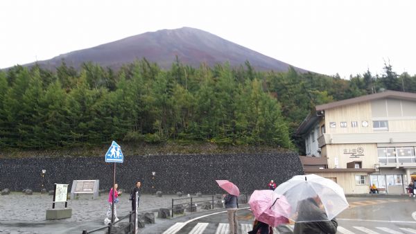 透过细节看本质图片,透过细节看男人的视频