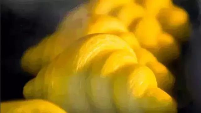 魔都面包店哪家好吃,魔都必吃的精品面包房