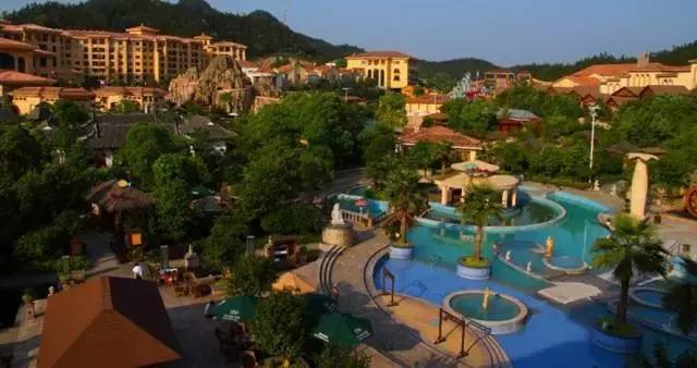 金华菜有哪些招牌菜,厉害了我的炒饭优惠团购