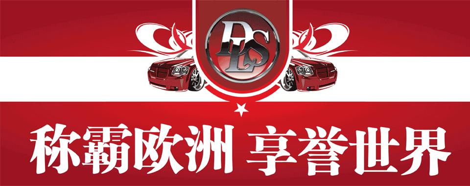 妙韵之音瑞典DLSRC6.2两分频套装喇叭