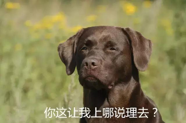 手机呼叫转移怎么设置不成功,手机呼叫转移来电提醒怎么解除