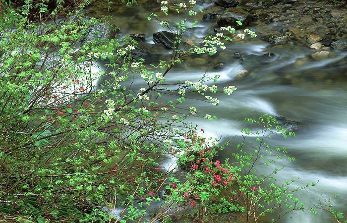 密云桃源仙谷景点,世外桃源山谷风景