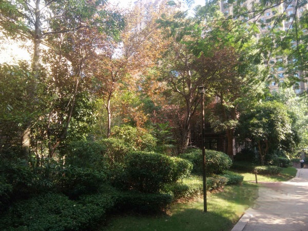 还原小区的来历,融科檀香山小区