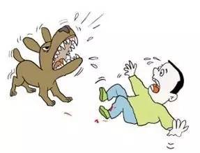 婴幼儿被动物咬伤急救,宝宝被小动物咬伤了怎么办