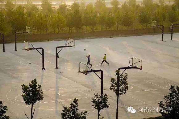 特别策划三分钟过后，农大小石榴马上开挂成老鸟！