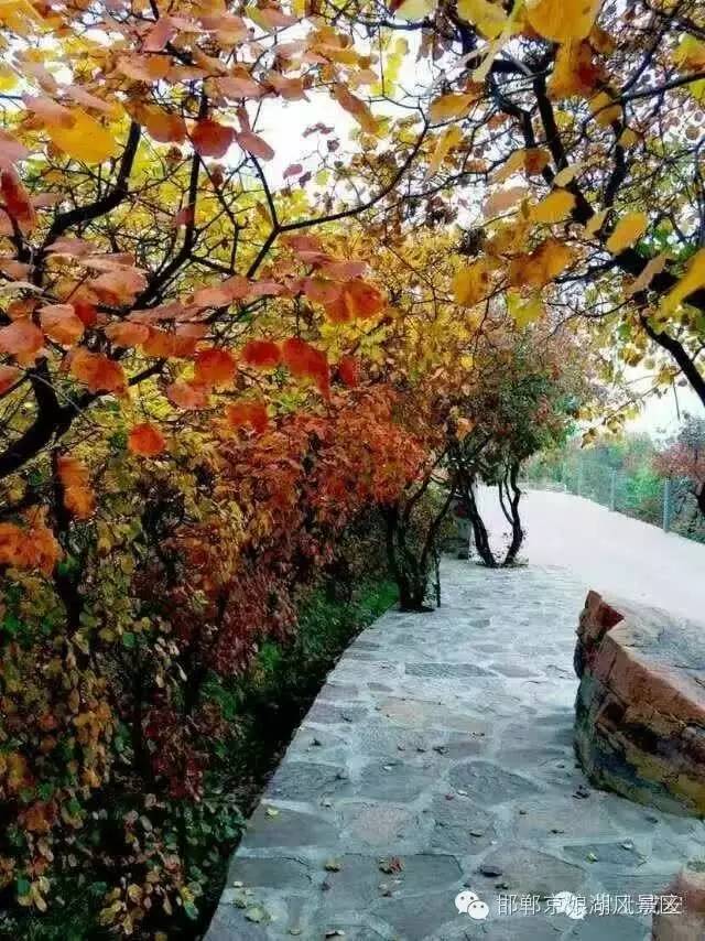 京娘湖风景区红叶丰收季联票,邯郸京娘湖红叶节