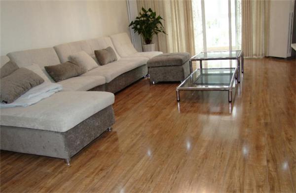 圣象地板行情,欧象和圣象地板哪个好