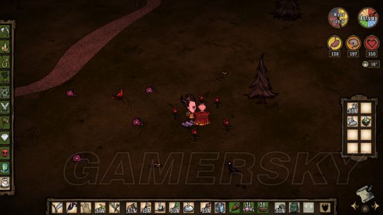 饥荒联机版攻略最详细教学,饥荒联机版芦苇有什么用