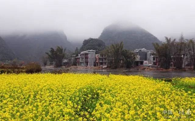 广西春天赏花好去处,广西十大赏花景点