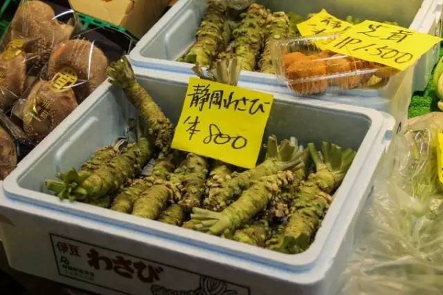 红叶堪比京都，温泉不输北海道的赏枫地，11-12月往返机票￥800+，不用担心人潮说走就走