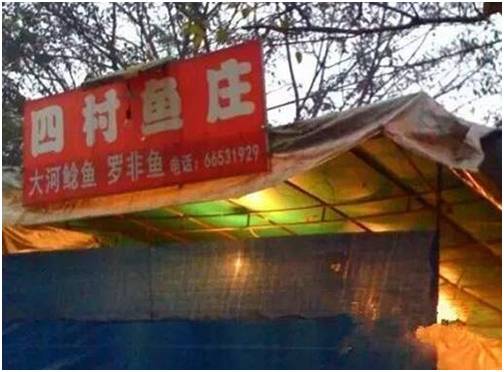 干货|从这些重庆小店路过，瞬间治愈蓝瘦香菇