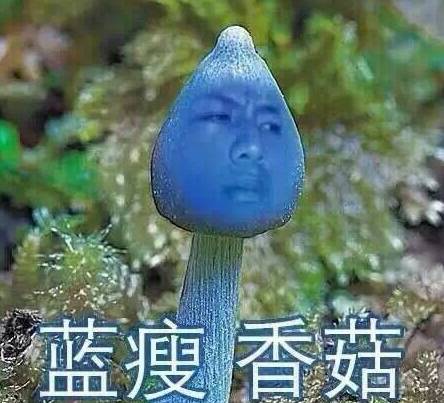 弄断女友口红被气死,弄断女友口红的下场