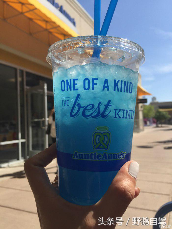 野鹅旅行,野鹅自驾无人区