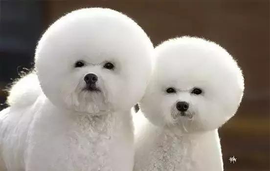 孕妇做梦没关大门是啥意思 (孕妇做梦有没有什么讲究)