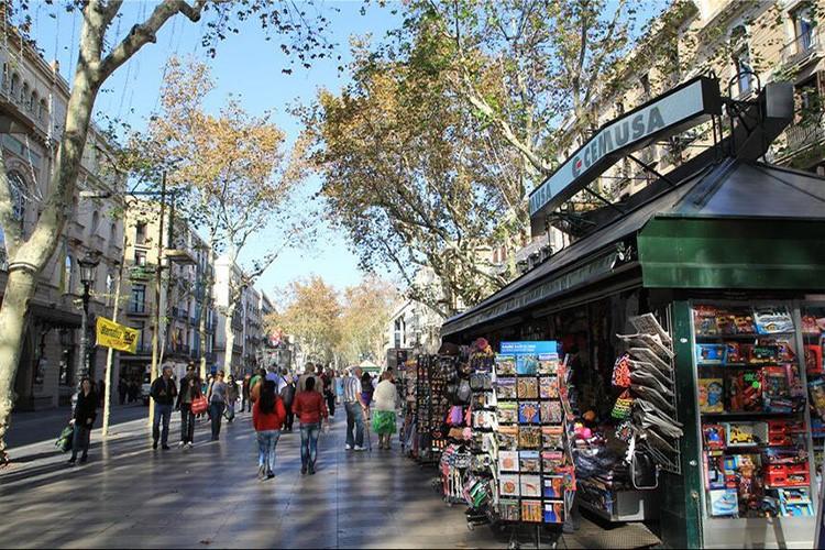 斑马旅游马尔代夫,斑马旅游景点在哪里