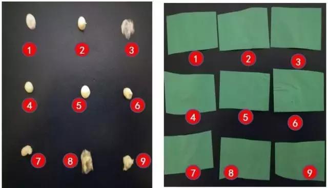 女人护手霜,女士护手霜欧舒丹小样