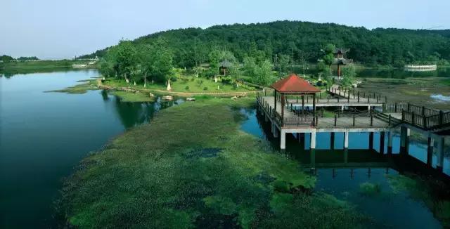 重庆美食爆辣火锅,重庆美食大快朵颐