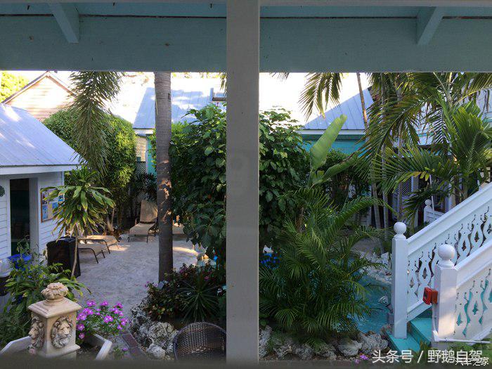 野鹅旅行,野鹅自驾无人区