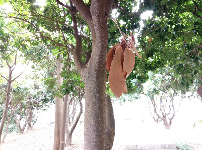 魅蓝max手机详细参数,魅蓝max边框拆解